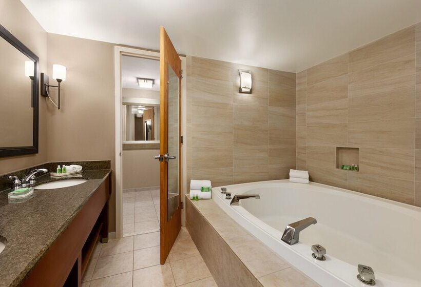 Отель Holiday Inn Washington Dulles International Airport, An Ihg