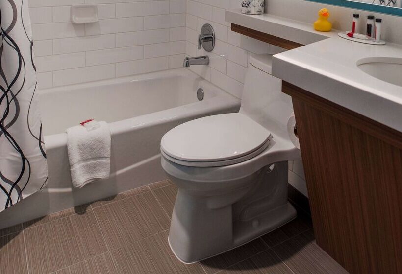 Howard Johnson By Wyndham Anaheim Hotel & Water Playground