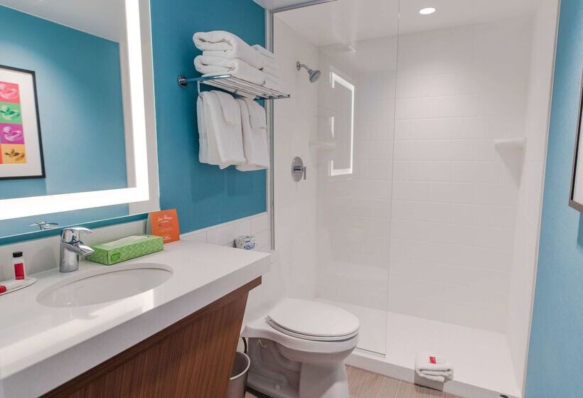 Howard Johnson By Wyndham Anaheim Hotel & Water Playground