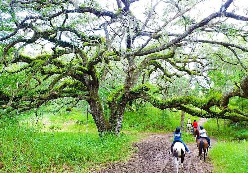 فندق Howard Johnson By Wyndham Ocala Fl I 75