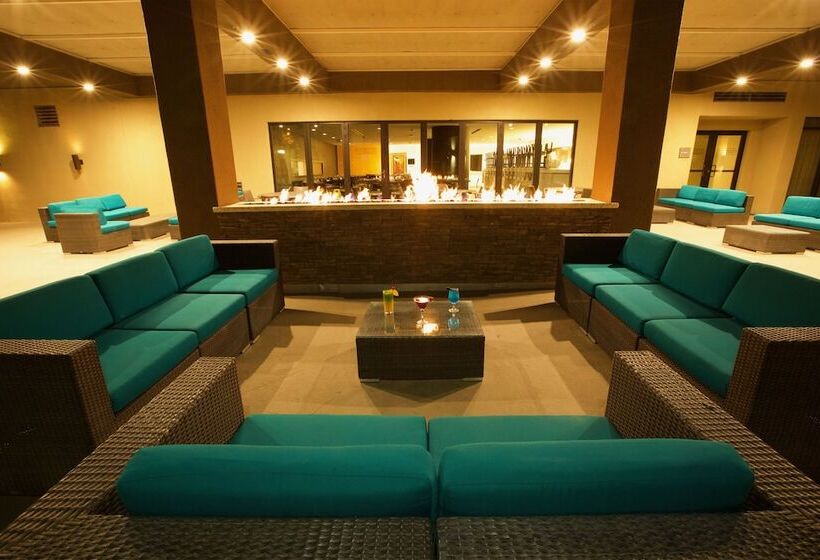 فندق Hyatt Palm Springs