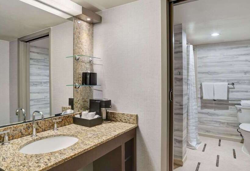 호텔 Hyatt Regency Dfw International Airport