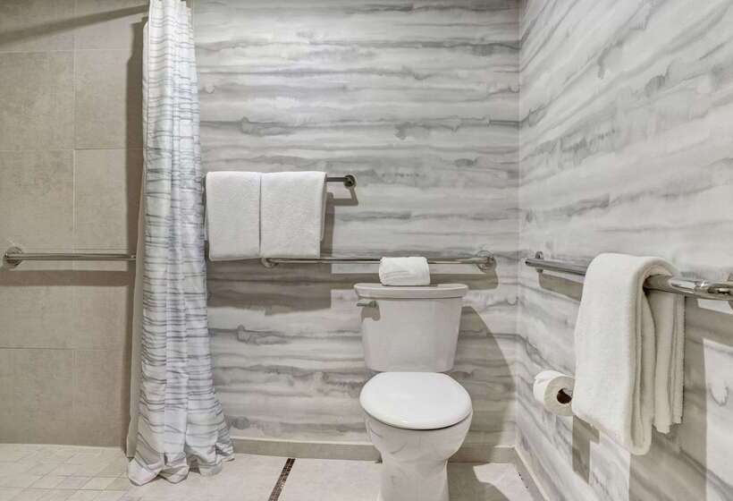 호텔 Hyatt Regency Dfw International Airport