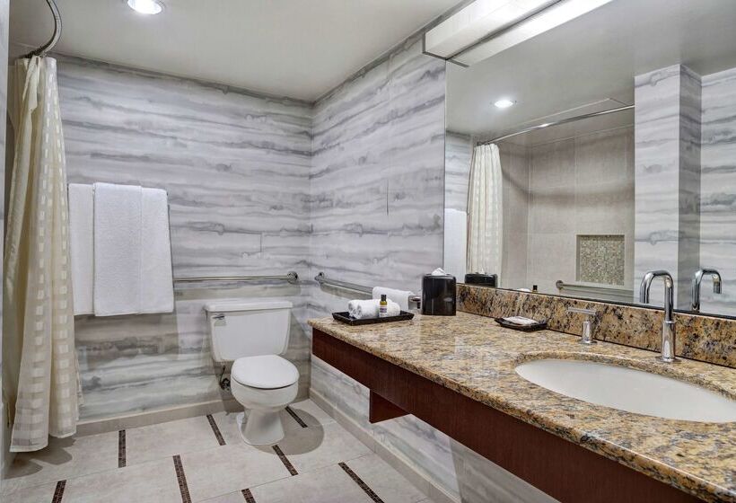 호텔 Hyatt Regency Dfw International Airport