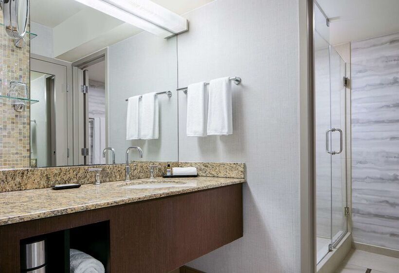 호텔 Hyatt Regency Dfw International Airport