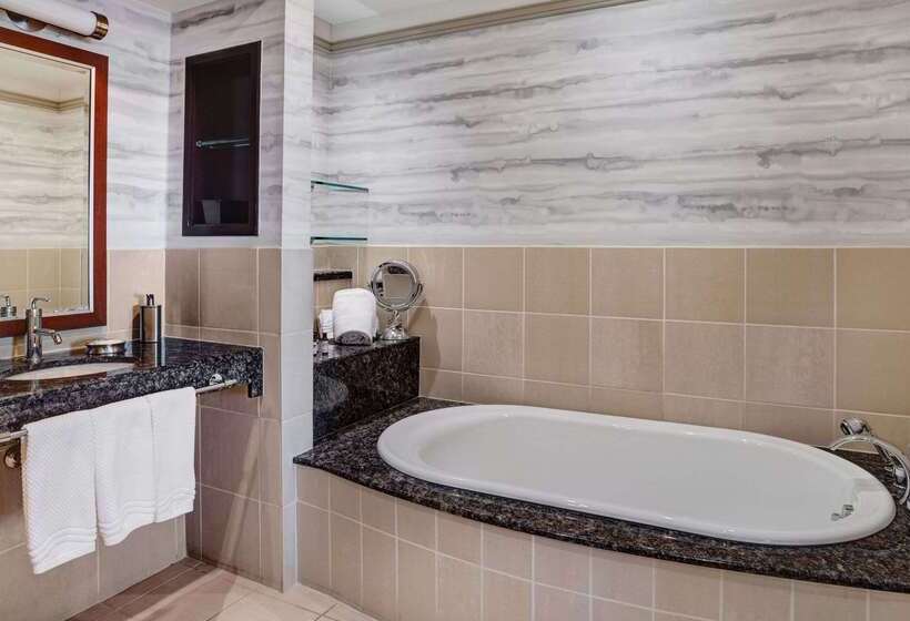 호텔 Hyatt Regency Dfw International Airport