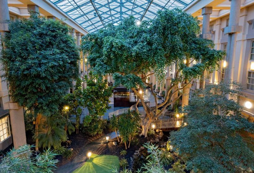 فندق Hyatt Regency Greenwich