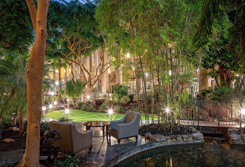 فندق Hyatt Regency Greenwich