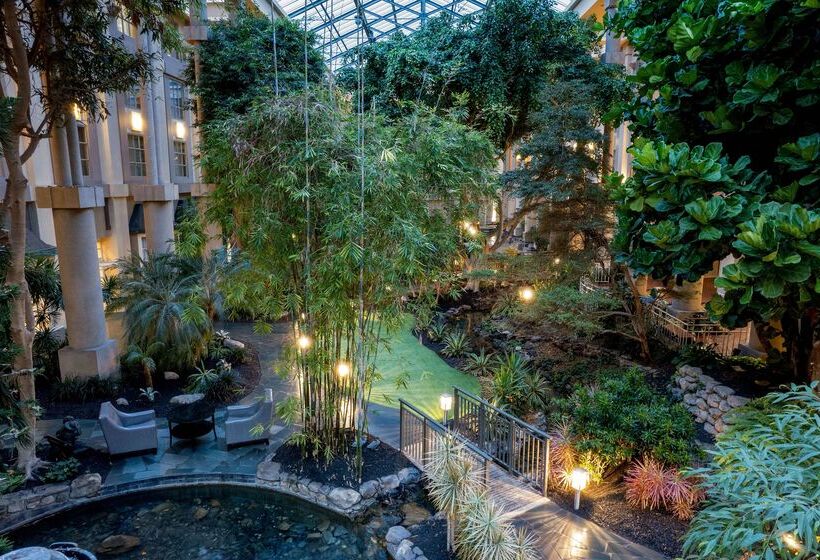 فندق Hyatt Regency Greenwich