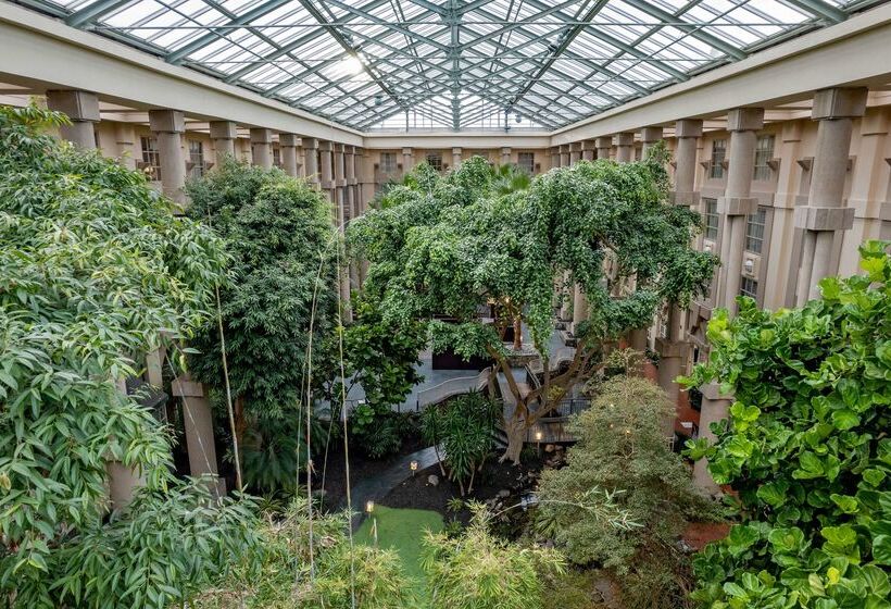 فندق Hyatt Regency Greenwich