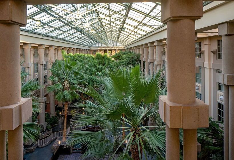 فندق Hyatt Regency Greenwich