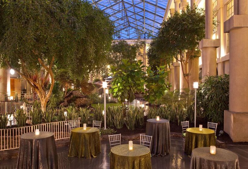 فندق Hyatt Regency Greenwich