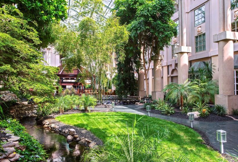 فندق Hyatt Regency Greenwich