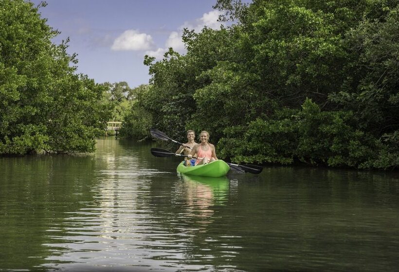 فندق Hyatt Regency Sarasota