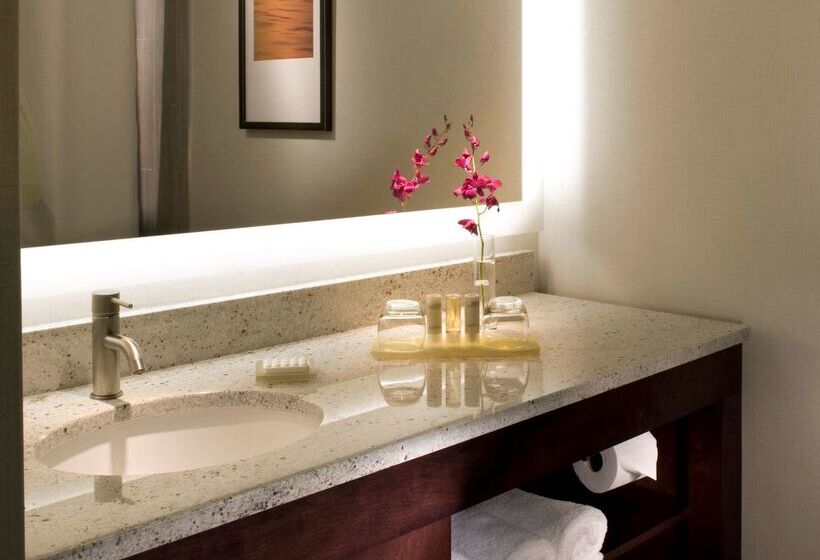 ホテル Hyatt Regency Suites Atlanta Northwest