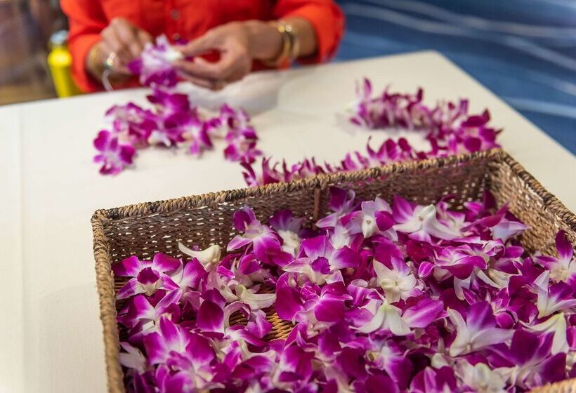 酒店 Hyatt Regency Waikiki Beach Resort & Spa