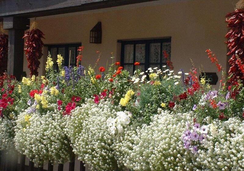 Отель Inn Of The Governors