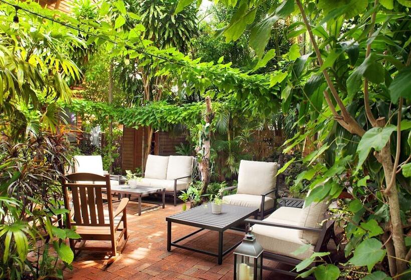 فندق Island City House