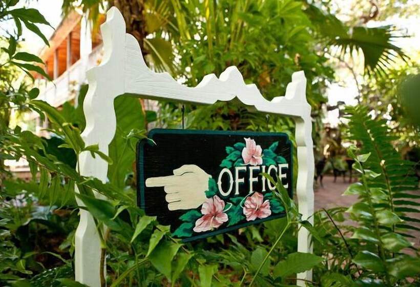 فندق Island City House