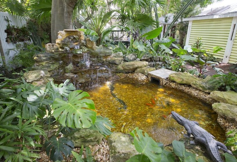 فندق Island City House