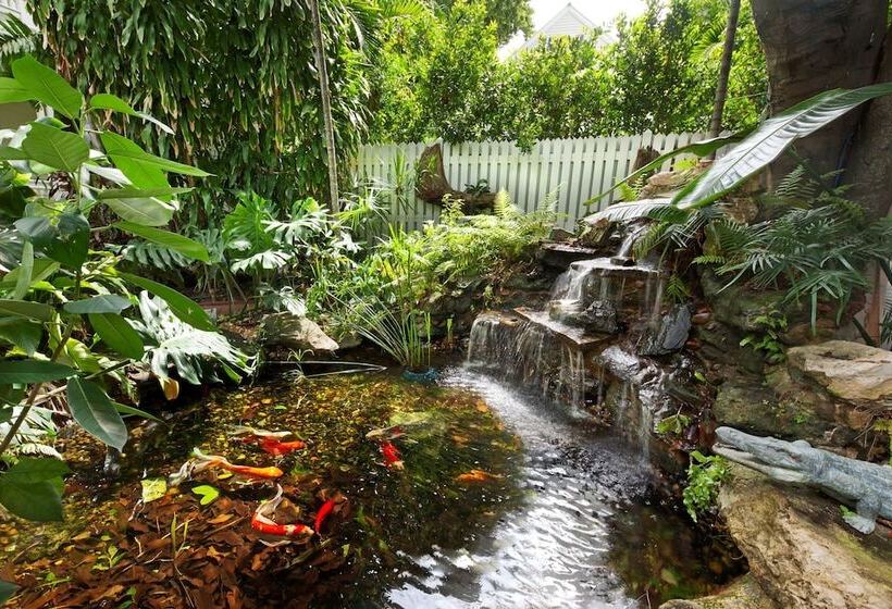 فندق Island City House