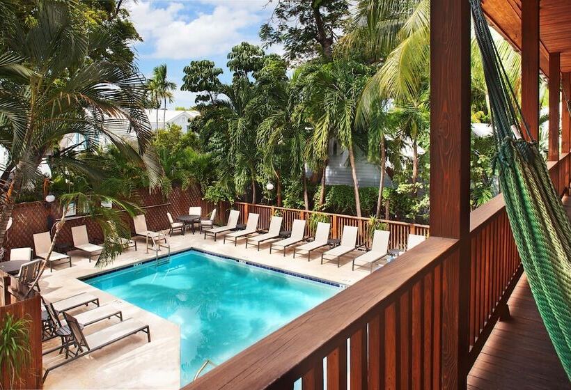 فندق Island City House