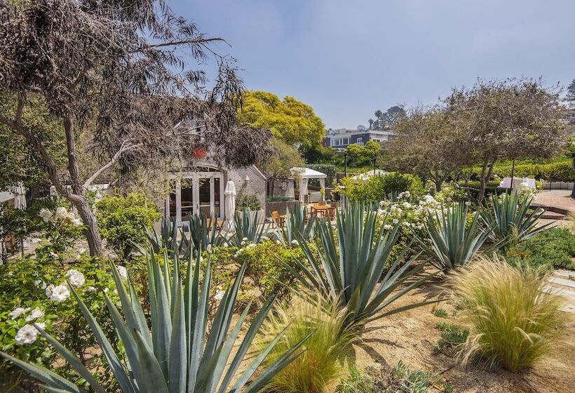 فندق L Auberge Del Mar