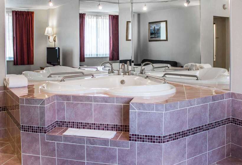 فندق Quality Inn & Conference Center