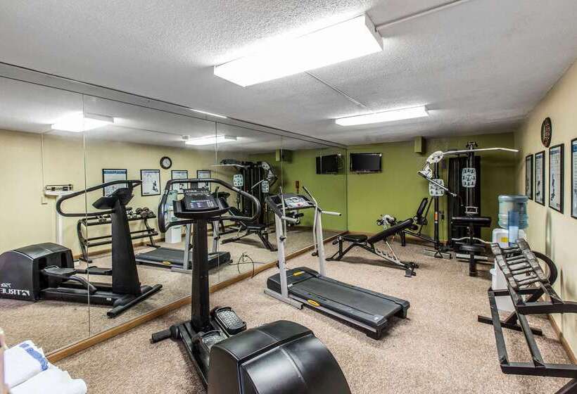 ホテル Quality Inn Midtown