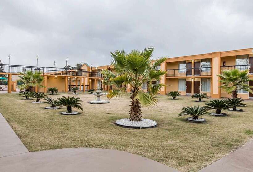 ホテル Quality Inn Midtown