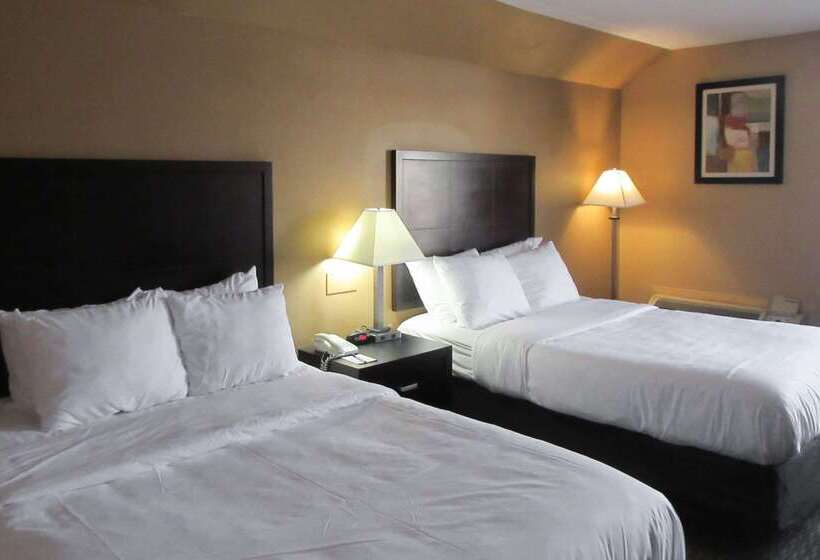 فندق Quality Inn & Suites