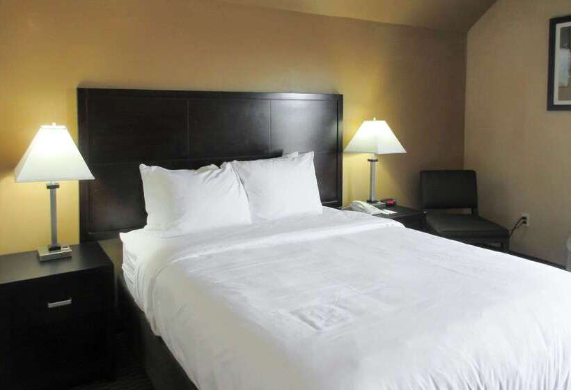 فندق Quality Inn & Suites