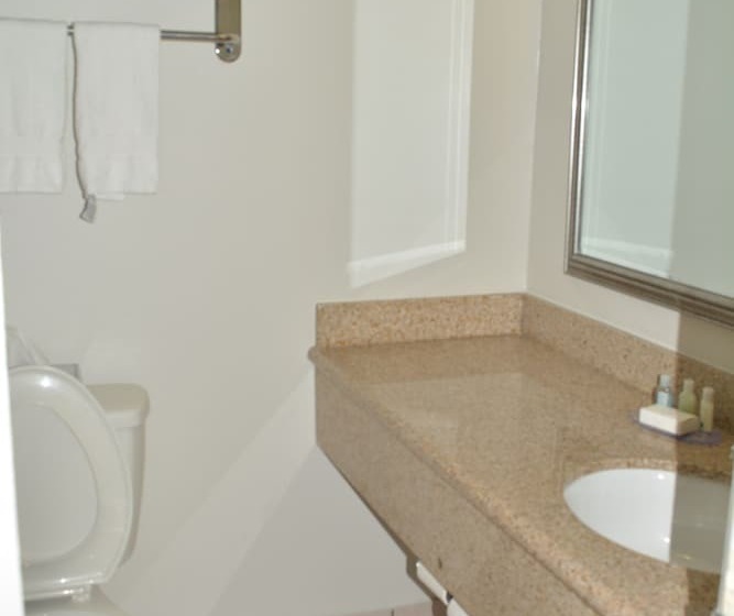 ホテル Quality Inn & Suites East Syracuse  Carrier Circle