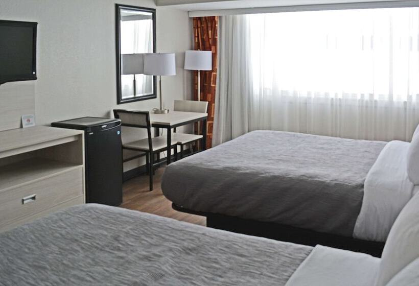 酒店 Quality Inn & Suites East Syracuse Carrier Circle