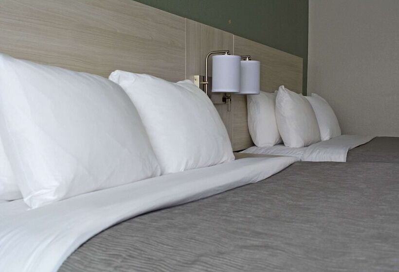 酒店 Quality Inn & Suites East Syracuse Carrier Circle