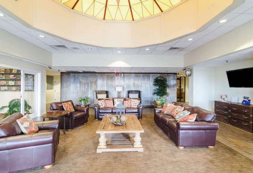 酒店 Quality Inn & Suites