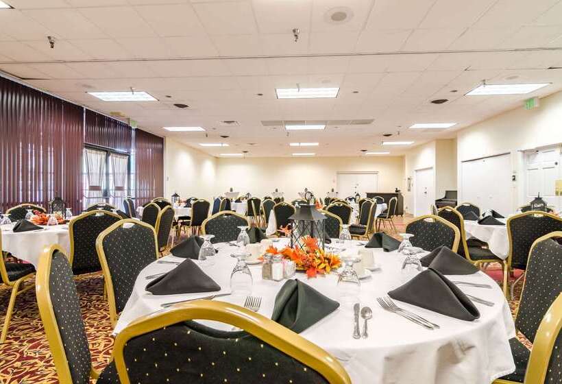 酒店 Quality Inn & Suites