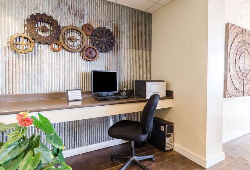 酒店 Quality Inn & Suites