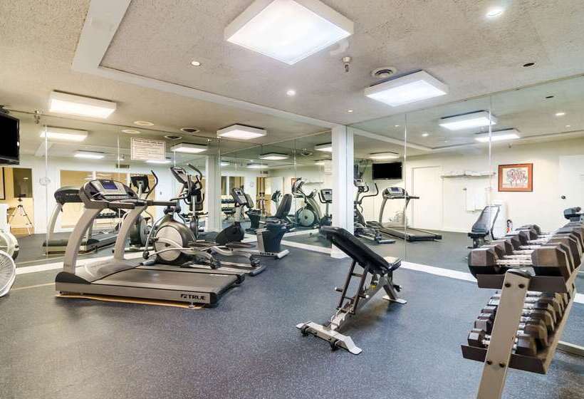 酒店 Quality Inn & Suites