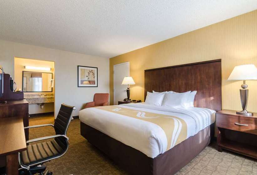 酒店 Quality Inn & Suites