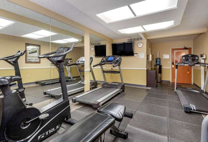 ホテル Quality Inn & Suites Vestal Binghamton Near University