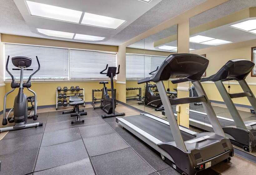 酒店 Quality Inn & Suites Vestal Binghamton Near University