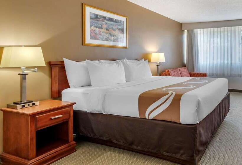 酒店 Quality Inn & Suites Vestal Binghamton Near University