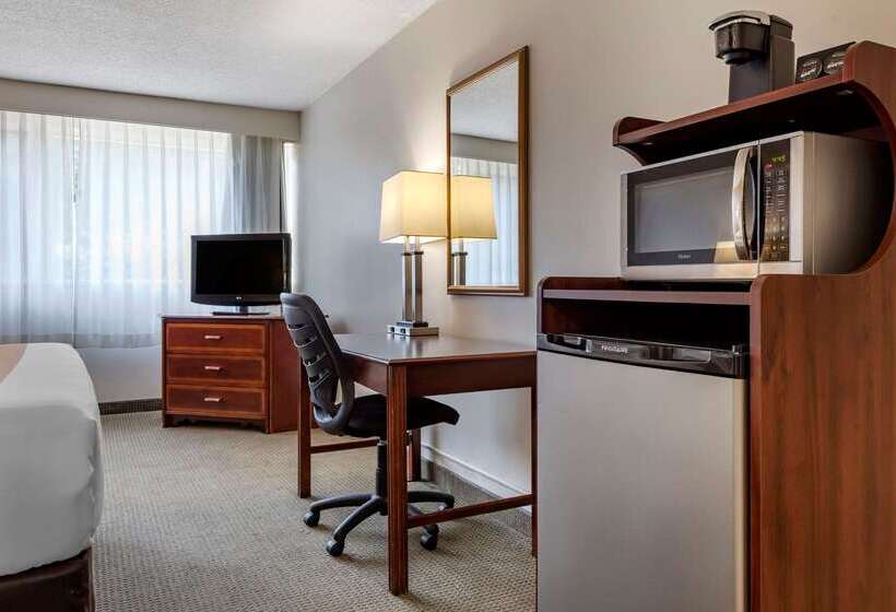 酒店 Quality Inn & Suites Vestal Binghamton Near University