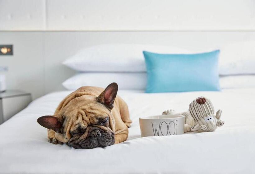 فندق Renaissance Charlotte Southpark