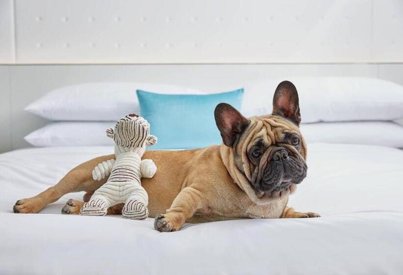 فندق Renaissance Charlotte Southpark