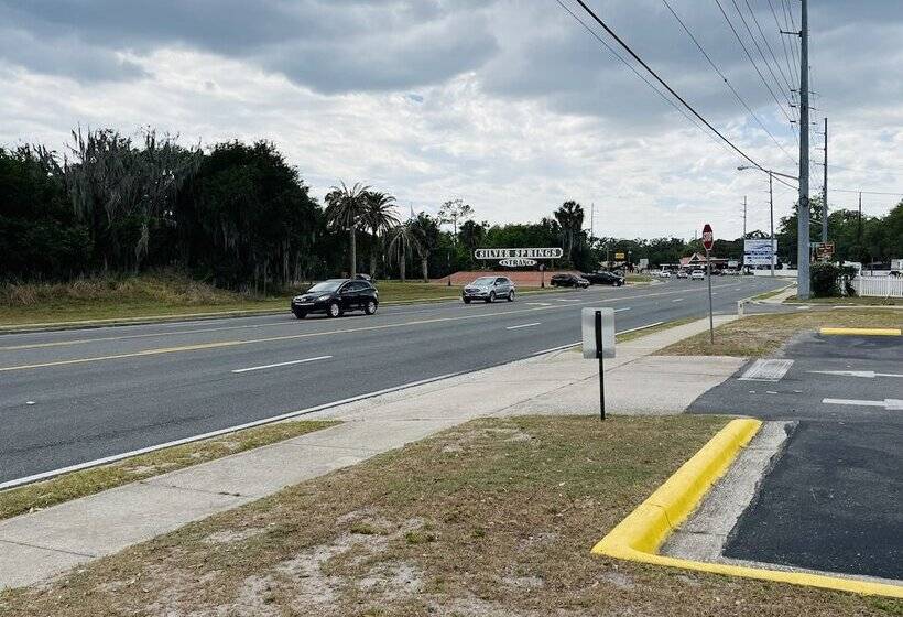 فندق Rodeway Inn