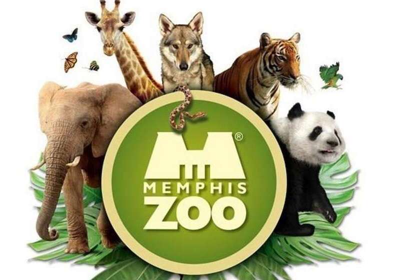 호텔 Sheraton Memphis Downtown