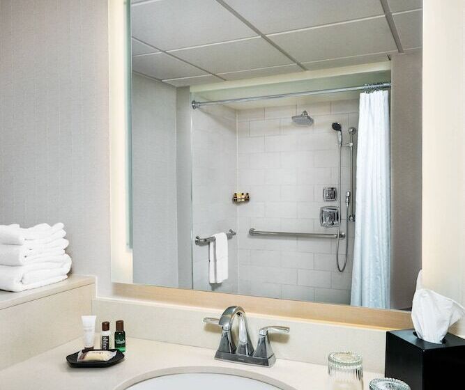 호텔 Sheraton Memphis Downtown