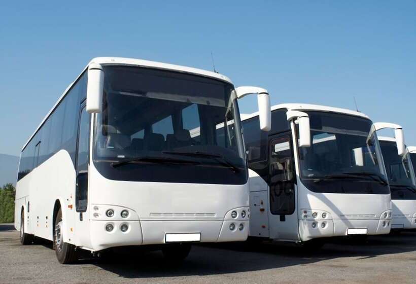 Отель Sheraton Tampa Brandon